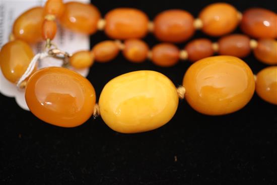 A single strand graduated oval amber bead necklace, 28in.